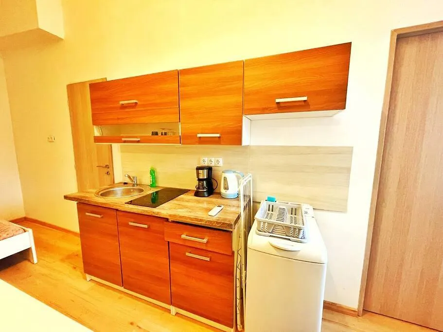 Central Studio Flat Budapest Hungary